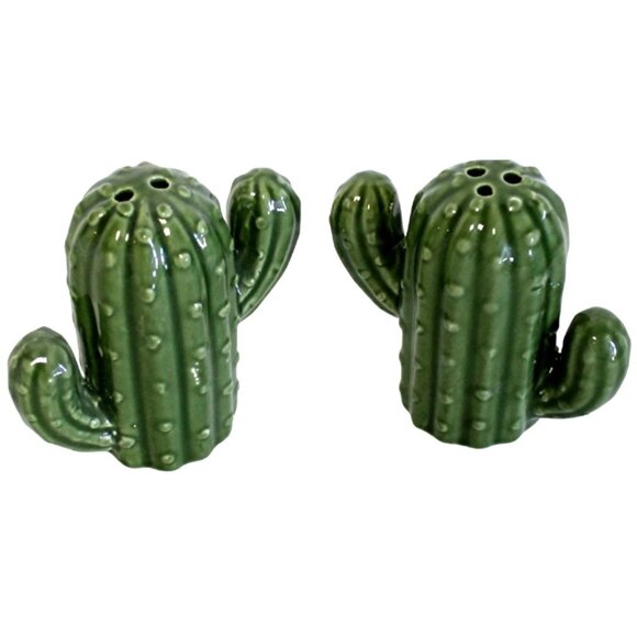 Cactus Ceramic Salt & Pepper Shaker Set Hand-Paint Durable Decorative Kitchenwar - Picture 4 of 10